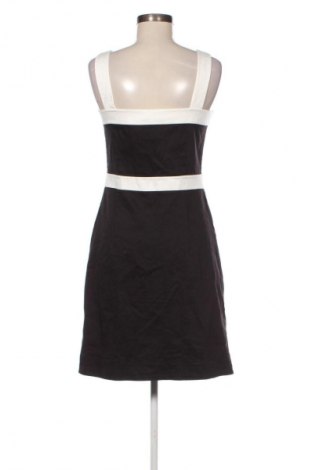 Kleid Phase Eight, Größe M, Farbe Mehrfarbig, Preis 34,99 €