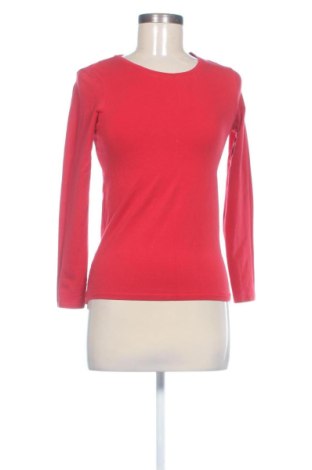 Γυναικεία μπλούζα Basics, Μέγεθος S, Χρώμα Κόκκινο, Τιμή 6,00 €, #138002979