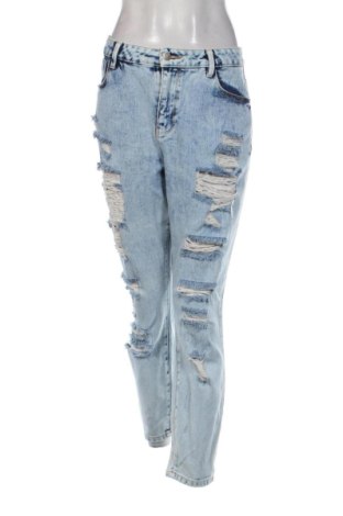 Damen Jeans Denim Co., Größe L, Farbe Mehrfarbig, Preis 20,17 €, #138030592