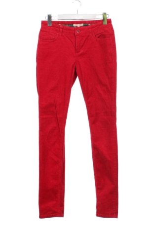 Pantaloni de velvet de femei Review, Mărime M, Culoare Roșu, Preț 68,24 Lei, #138037242