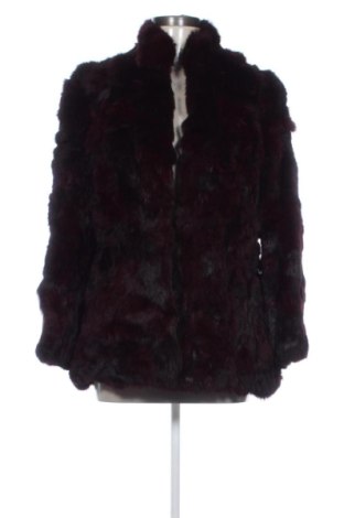 Damen Ledermantel Unbranded, Größe S, Farbe Lila, Preis 194,99 €, #138013159