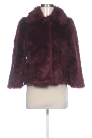 Női kabát Stradivarius, Méret S, Szín Lila, Ár 8 159 Ft, #138011917
