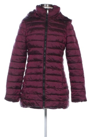 Damenjacke Springfield, Größe S, Farbe Lila, Preis 53,99 €, #138024236