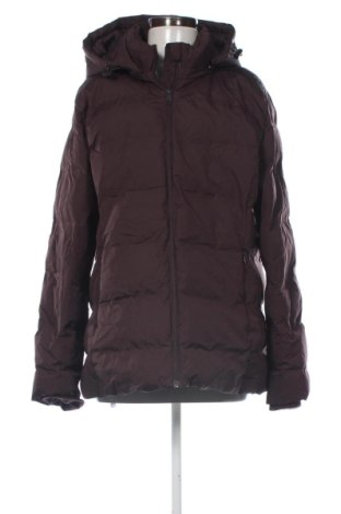 Geacă de femei In Extenso, Mărime XL, Culoare Maro, Preț 220,99 Lei, #138024505