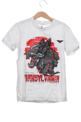 Dziecięcy T-shirt Malfini, Rozmiar 7-8y/ 128-134 cm, Kolor Szary, Cena 25,40 zł, #138017476