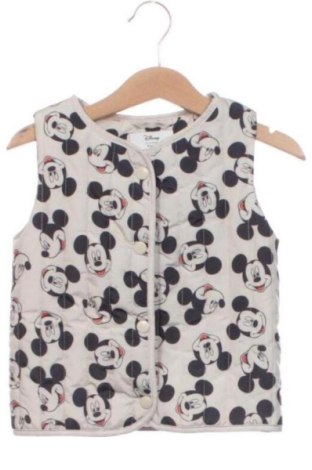 Vestă pentru copii Disney, Mărime 18-24m/ 86-98 cm, Culoare Multicolor, Preț 60,37 Lei, #137986143