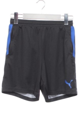 Παιδικό κοντό παντελόνι PUMA, Μέγεθος 12-13y/ 158-164 εκ., Χρώμα Πολύχρωμο, Τιμή 18,42 €, #138005589