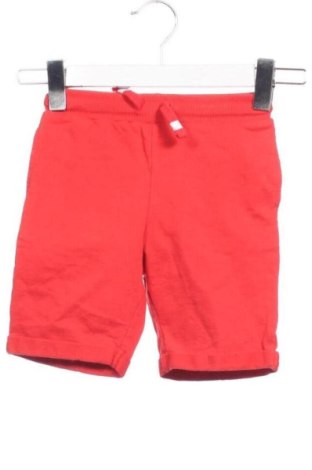 Kinder Shorts Sinsay, Größe 18-24m/ 86-98 cm, Farbe Rot, Preis 6,18 €, #138031762