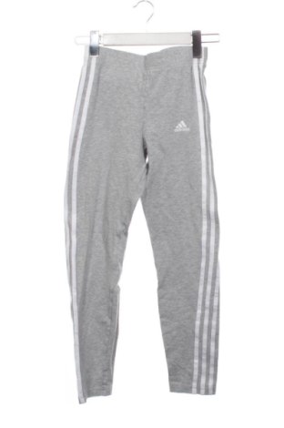 Παιδικό κολάν Adidas, Μέγεθος 10-11y/ 146-152 εκ., Χρώμα Γκρί, Τιμή 23,00 €, #138003836