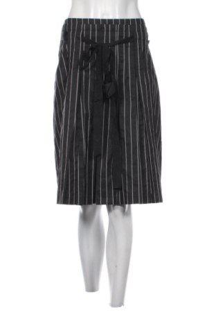 Fustă Taifun, Mărime L, Culoare Multicolor, Preț 164,00 Lei, #137980651