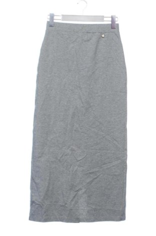 Fustă Souvenir, Mărime XS, Culoare Gri, Preț 534,99 Lei, #138005432