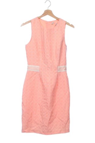 Kleid Limited, Größe XS, Farbe Rosa, Preis 10,48 €, #137981365