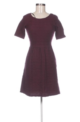 Sukienka Dorothy Perkins, Rozmiar S, Kolor Fioletowy, Cena 59,27 zł, #138038159