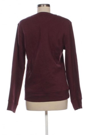Damen Shirt Amazon Essentials, Größe S, Farbe Rot, Preis € 5,99