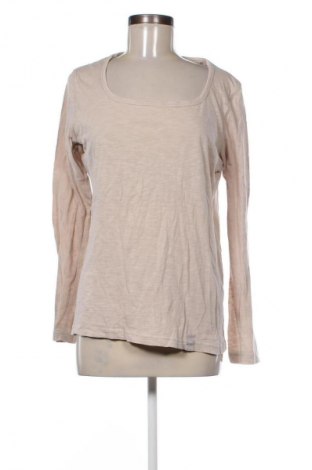 Dámská halenka Cecil, Velikost XL, Barva Béžová, Cena  89,00 Kč