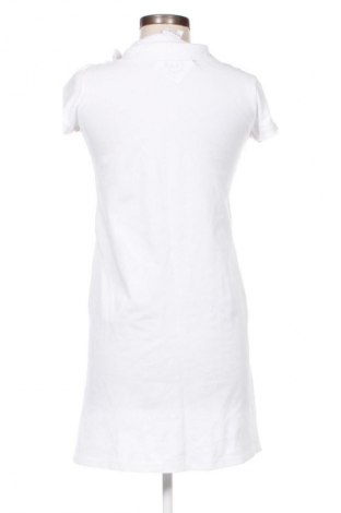 Γυναικεία μπλούζα U.S. Polo Assn., Μέγεθος S, Χρώμα Λευκό, Τιμή 11,99 €