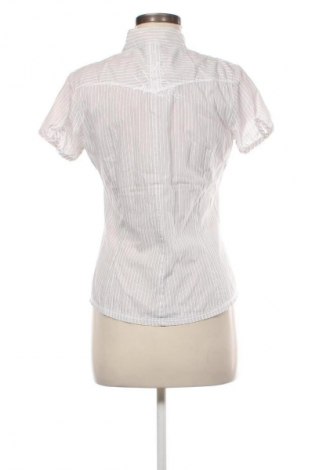 Dámská košile  Tom Tailor, Velikost S, Barva Vícebarevné, Cena  127,00 Kč