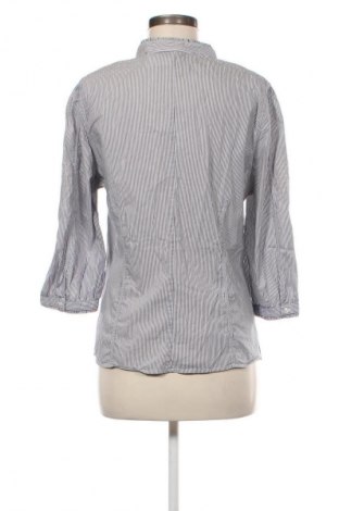 Damenbluse Zara, Größe XL, Farbe Mehrfarbig, Preis € 4,99