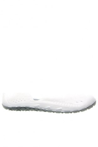 Γυναικεία παπούτσια Arena, Μέγεθος 38, Χρώμα Γκρί, Τιμή 9,99 €