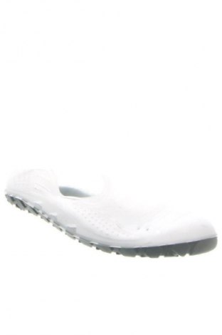 Γυναικεία παπούτσια Arena, Μέγεθος 38, Χρώμα Γκρί, Τιμή 9,99 €