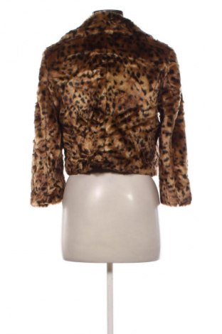 Palton de femei Loft By Ann Taylor, Mărime S, Culoare Multicolor, Preț 355,99 Lei