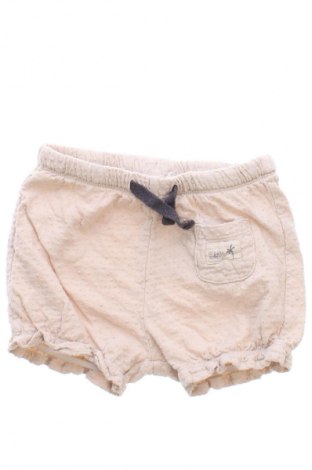 Dziecięce szorty Pepco, Rozmiar 9-12m/ 74-80 cm, Kolor Beżowy, Cena 6,99 zł