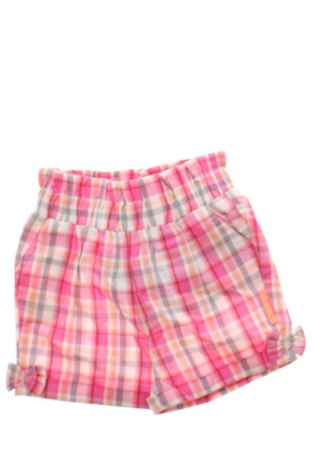 Dziecięce szorty Sterntaler, Rozmiar 1-2m/ 50-56 cm, Kolor Kolorowy, Cena 46,99 zł