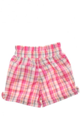 Dziecięce szorty Sterntaler, Rozmiar 1-2m/ 50-56 cm, Kolor Kolorowy, Cena 46,99 zł