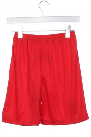 Kinder Shorts Unbranded, Größe 13-14y/ 164-168 cm, Farbe Rot, Preis 5,99 €