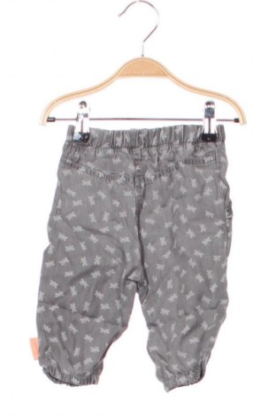 Gyerek nadrág Sterntaler, Méret 3-6m / 62-68 cm, Szín Sokszínű, Ár 2 669 Ft