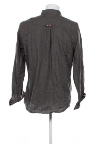 Herrenhemd Hilfiger Denim, Größe L, Farbe Mehrfarbig, Preis € 13,99