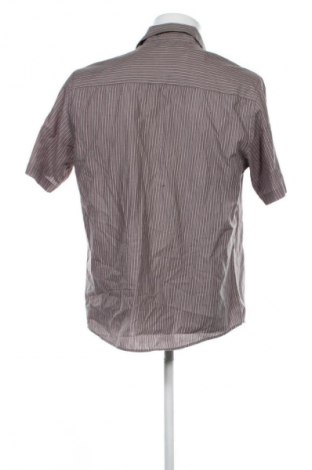 Herrenhemd Pierre Cardin, Größe L, Farbe Mehrfarbig, Preis € 8,99