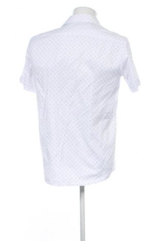 Herrenhemd Unbranded, Größe M, Farbe Mehrfarbig, Preis € 11,99