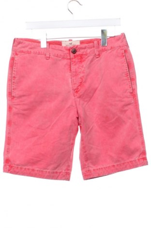Herren Shorts Hollister, Größe M, Farbe Rot, Preis € 5,99