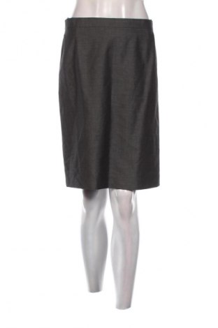 Φούστα Betty Barclay, Μέγεθος L, Χρώμα Γκρί, Τιμή 4,99 €