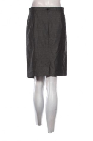 Φούστα Betty Barclay, Μέγεθος L, Χρώμα Γκρί, Τιμή 4,99 €