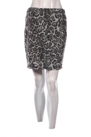 Sukně Sophia, Velikost L, Barva Vícebarevné, Cena  49,00 Kč