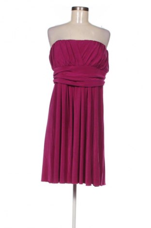 Šaty  Dorothy Perkins, Velikost XL, Barva Fialová, Cena  189,00 Kč