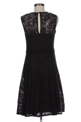 Šaty  Dorothy Perkins, Veľkosť M, Farba Viacfarebná, Cena  19,57 €