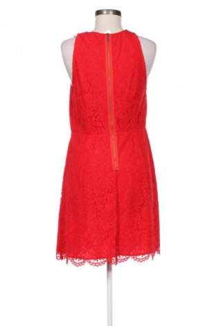 Sukienka Limited, Rozmiar L, Kolor Kolorowy, Cena 35,99 zł