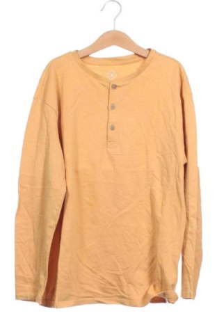 Dětská halenka  Tex, Velikost 11-12y/ 152-158 cm, Barva Oranžová, Cena  171,00 Kč, #138061147