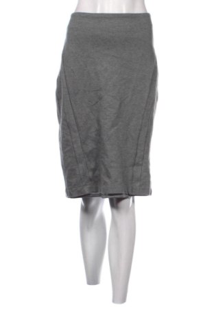 Fustă Reserved, Mărime XL, Culoare Gri, Preț 74,39 Lei, #138048145