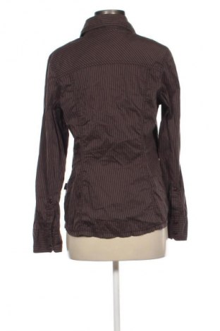 Dámska košeľa  Cecil, Veľkosť M, Farba Hnedá, Cena  8,95 €