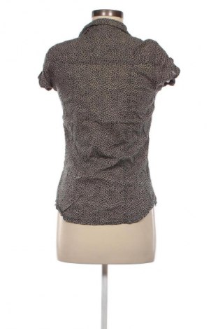 Damska koszula Chicoree, Rozmiar S, Kolor Kolorowy, Cena 6,99 zł