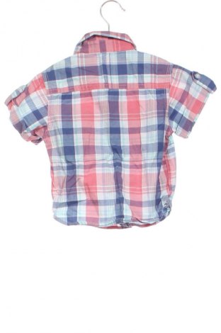 Детска риза Rebel, Размер 9-12m/ 74-80 см, Цвят Многоцветен, Цена 7,66 €