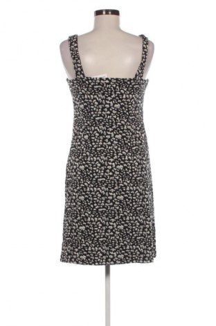 Φόρεμα Dorothy Perkins, Μέγεθος M, Χρώμα Πολύχρωμο, Τιμή 32,99 €