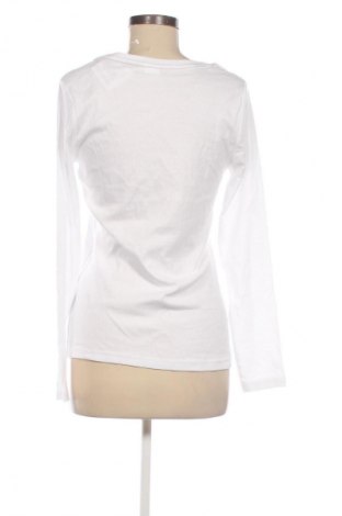 Damen Shirt Kangaroos, Größe M, Farbe Weiß, Preis € 19,99