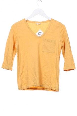 Dámska blúza S.Oliver, Veľkosť XS, Farba Žltá, Cena  15,95 €