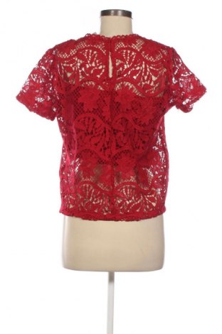 Damen Shirt Zara, Größe L, Farbe Rot, Preis 13,99 €