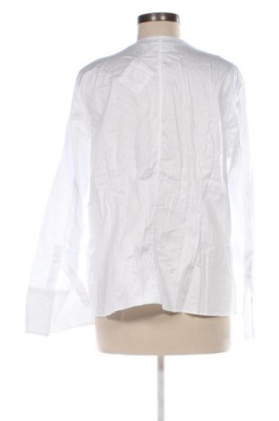 Dámská košile  Eterna, Velikost XL, Barva Bílá, Cena  469,00 Kč